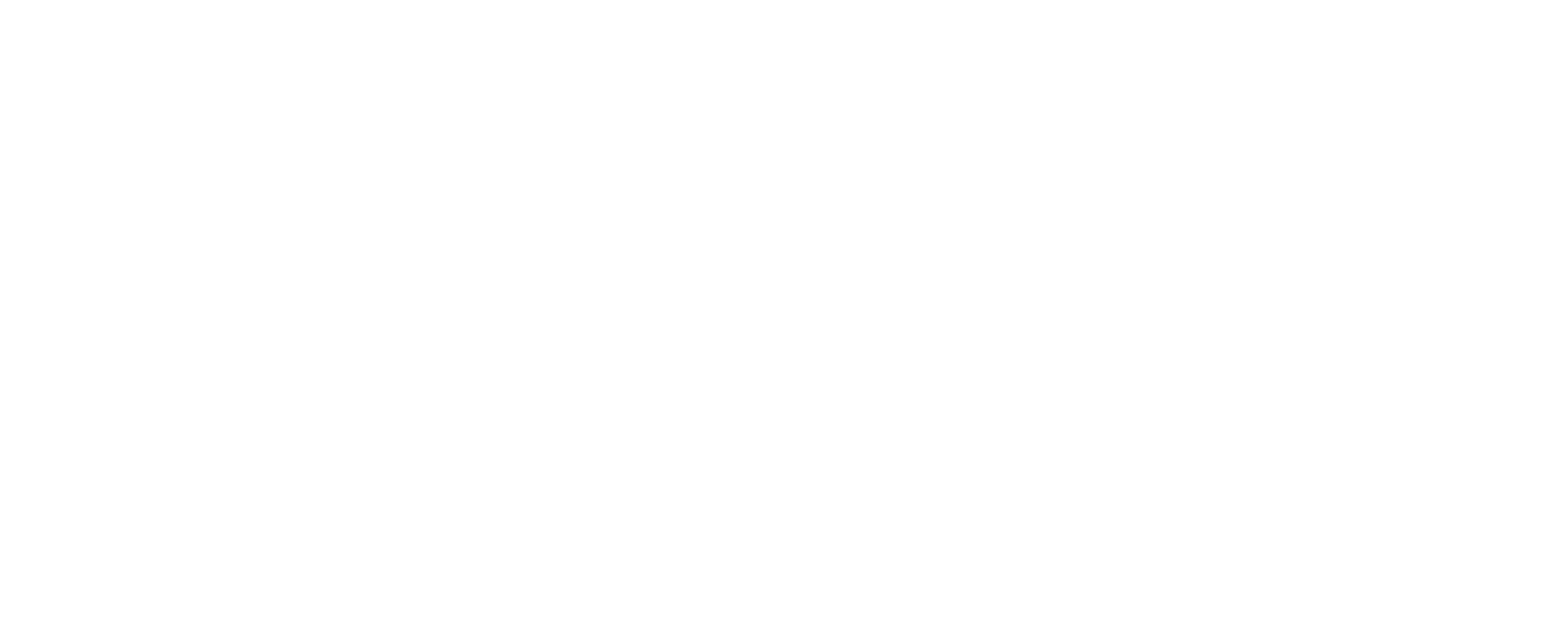 Brucker Umzüge